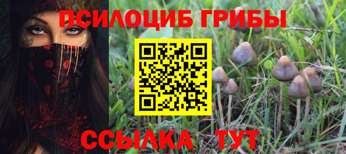 Псилоцибиновые грибы MAGIC MUSHROOMS  Вход с VPN  Лабинск 